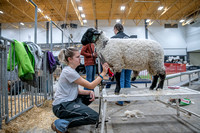 AG day Four 2024 High RESOLUTION-3293