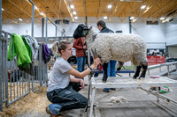 AG day Four 2024 High RESOLUTION-3296